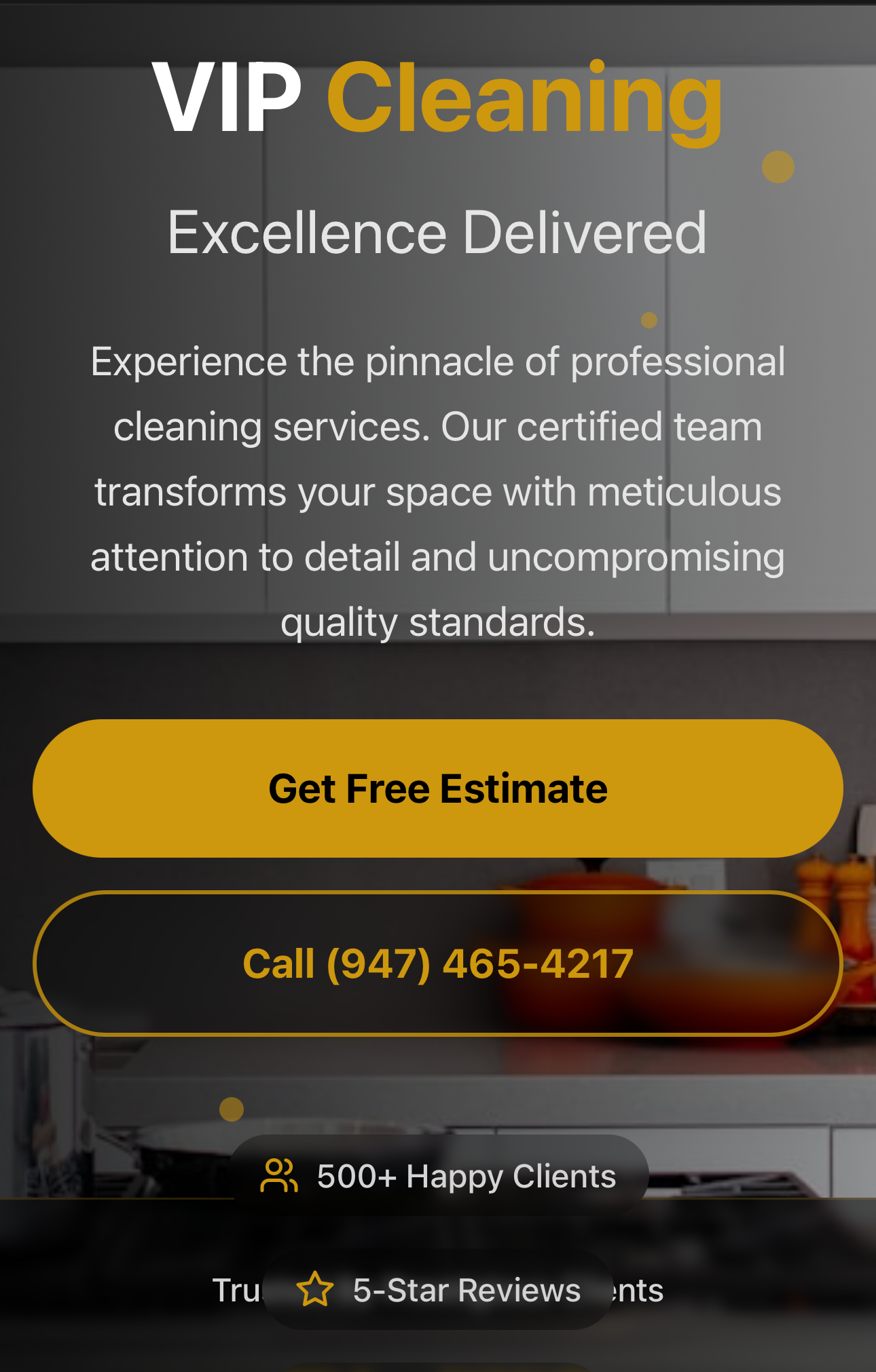 Vip Klear CleanTech Web Solutions - Professional Websites for Your Business